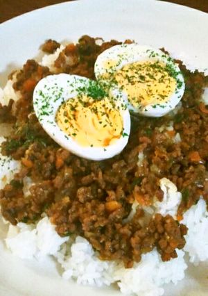 我が家の大好物♪『和風ドライカレー』-レシピのメイン写真
