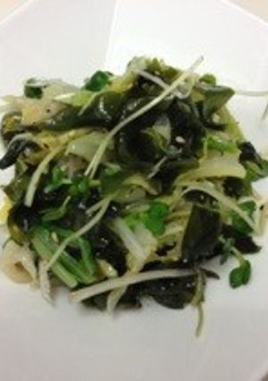 ワカメと白菜のモリモリサラダ-レシピのメイン写真