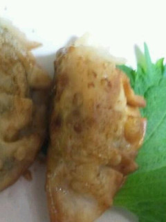 めかじきの餃子-レシピのメイン写真