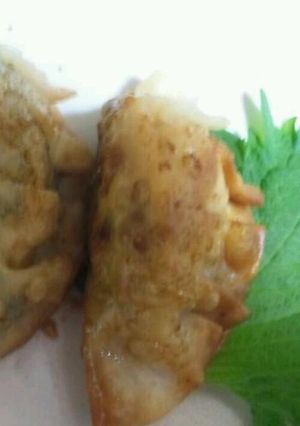 めかじきの餃子-レシピのメイン写真