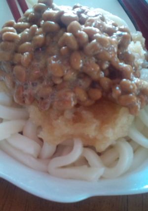 ランチに♪おろし納豆うどん-レシピのメイン写真