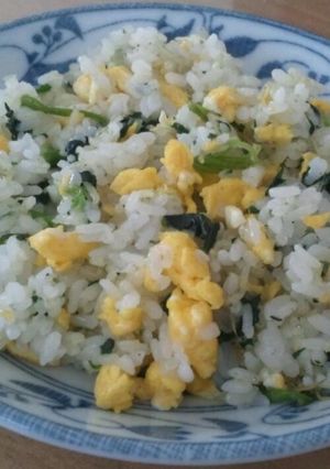 簡単♡栄養満点!しらす炒飯-レシピのメイン写真