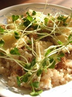 かんたん玄米寿司-レシピのメイン写真