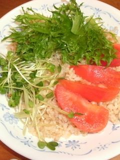 玄米レモン寿司-レシピのメイン写真