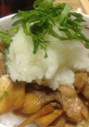 豚おろし丼-レシピのメイン写真