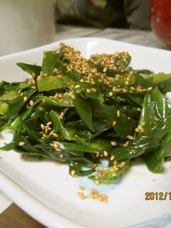 青ねぎで簡単中華和え物-レシピのメイン写真