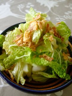 さっぱり白菜サラダ-レシピのメイン写真