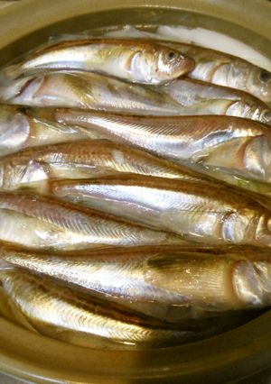 ハタハタ鍋（塩味）-レシピのメイン写真