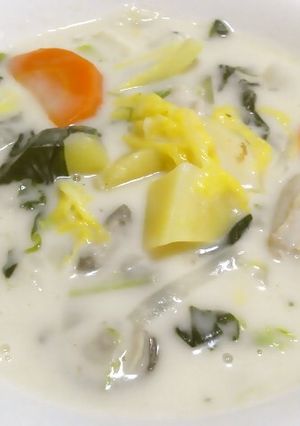 白菜と冷凍ほうれん草のクリームシチュー-レシピのメイン写真