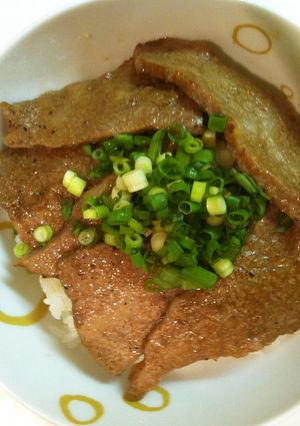 ☆サッパリガッツリお手軽カルビ丼☆-レシピのメイン写真