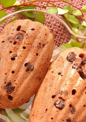 混ぜるだけ♪簡単ダブルチョコマドレーヌ-レシピのメイン写真