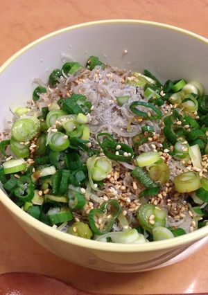 のせるだけズボラ飯☆ネギじゃこご飯-レシピのメイン写真