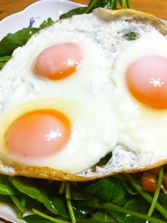 目玉焼き好きの☆ほうれん草サラダ♫-レシピのメイン写真