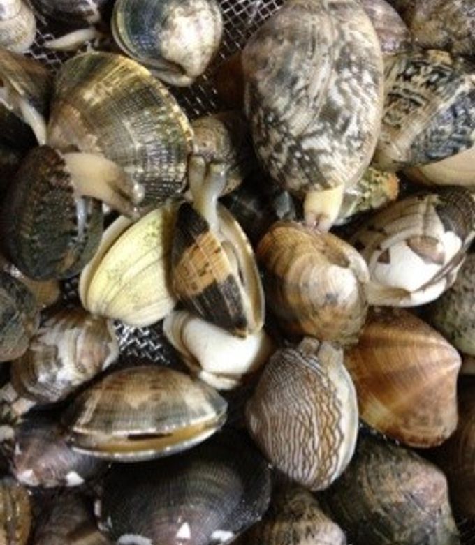 あさりがビックリ50度洗いで簡単砂だし by ピンキーももこ