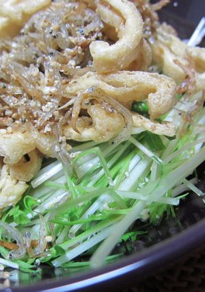 水菜とじゃことおあげの和風サラダ-レシピのメイン写真