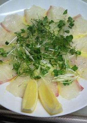 カルパッチョ　シンプル版-レシピのメイン写真