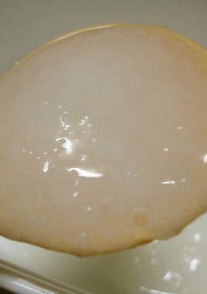 基本のおかゆのつくりかた☆１０倍がゆ☆-レシピのメイン写真