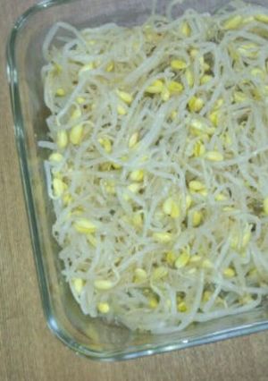 シンプル＊豆もやしのナムル-レシピのメイン写真