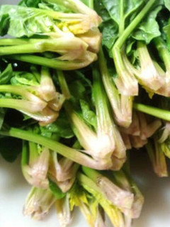 軸まで食べようホウレン草~覚え書き~-レシピのメイン写真