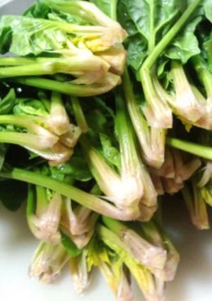 軸まで食べようホウレン草～覚え書き～-レシピのメイン写真