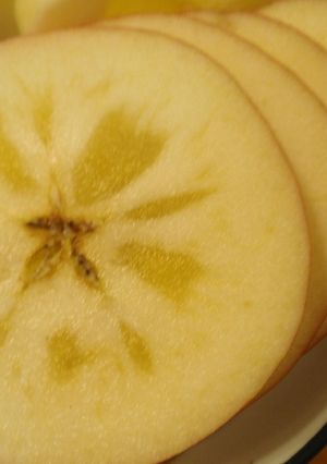 蜜入り「りんご」の切り方-レシピのメイン写真