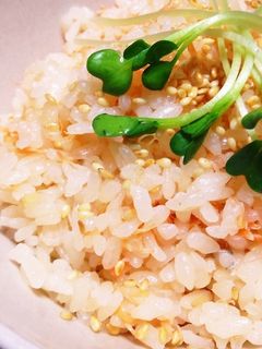 炊飯器で簡単♡甘鮭の炊き込みご飯-レシピのメイン写真