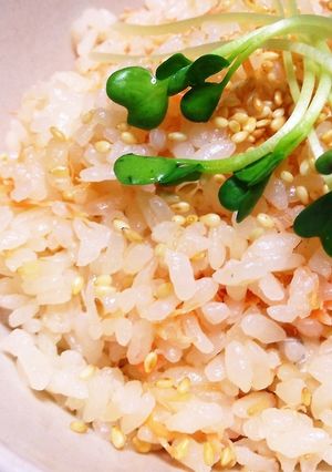 炊飯器で簡単♡甘鮭の炊き込みご飯-レシピのメイン写真