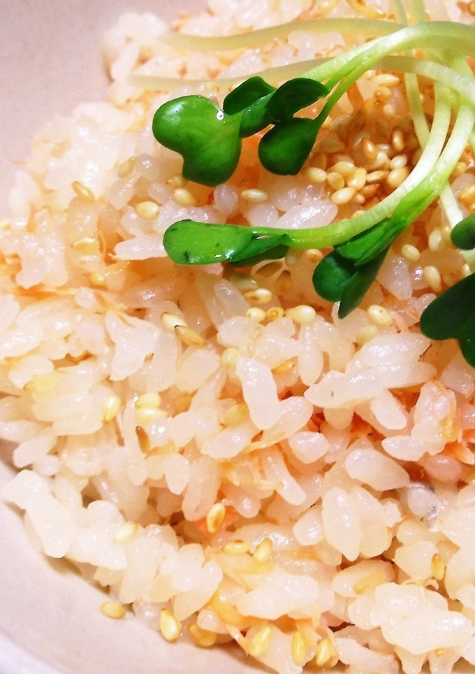 炊飯器で簡単♡甘鮭の炊き込みご飯-レシピのメイン写真