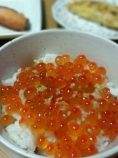 豪華に*いくら丼-レシピのメイン写真