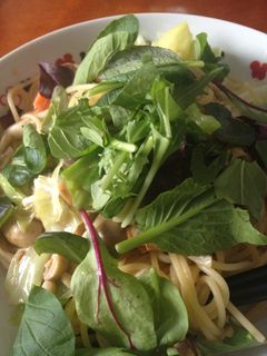 鮭ときのことベビーリーフの和風パスタ-レシピのメイン写真