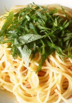 絶対美味しい✿明太子としらすのパスタ✿-レシピのメイン写真