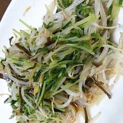 รูปของ 食前にひと品 もやしと豆苗で