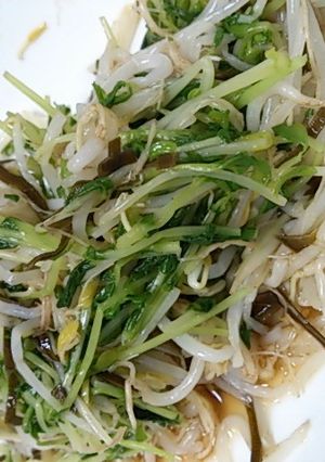 食前にひと品 もやしと豆苗で-レシピのメイン写真