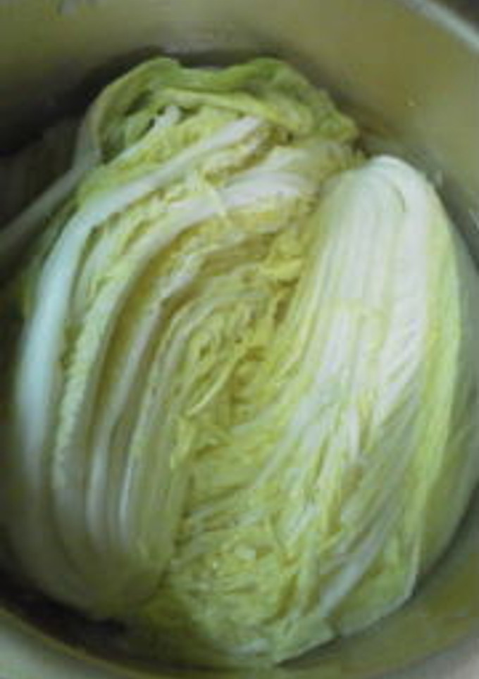 沸騰一分！白菜のお浸し-レシピのメイン写真