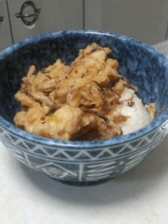 もやしのかき揚げ丼-レシピのメイン写真
