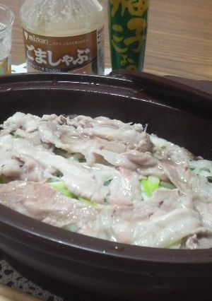 シリコンスチーマーで！材料はネギと豚肉！-レシピのメイン写真