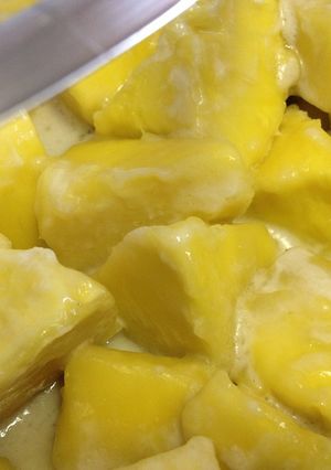 ブレッドフルーツ煮物風-レシピのメイン写真
