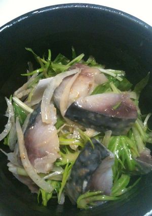 しめ鯖サラダ-レシピのメイン写真