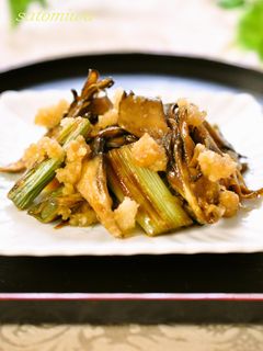 焼き舞茸&ネギのさっぱり♪みぞれ和え-レシピのメイン写真