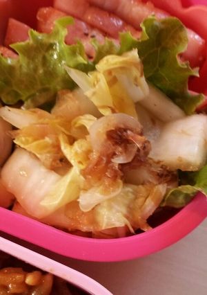 お弁当にも♪白菜のおかか和え-レシピのメイン写真