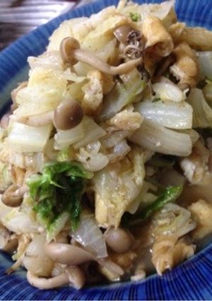 おなじみ白菜の煮浸し-レシピのメイン写真