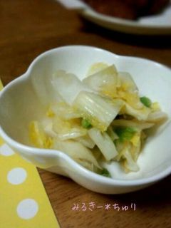 袋で簡単*白菜の浅漬け-レシピのメイン写真