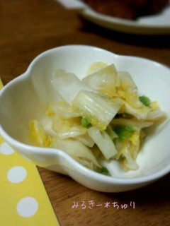 袋で簡単*白菜の浅漬け-レシピのメイン写真