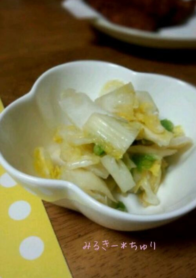 袋で簡単＊白菜の浅漬け-レシピのメイン写真