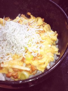 ヘルシー♡なったましらす丼♡-レシピのメイン写真
