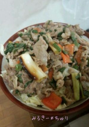 がっつり＊ポーク丼-レシピのメイン写真