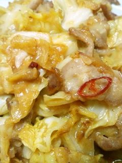 豚肉とキャベツの味噌炒め-レシピのメイン写真