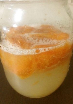 柿酵母～元種作りまで～-レシピのメイン写真