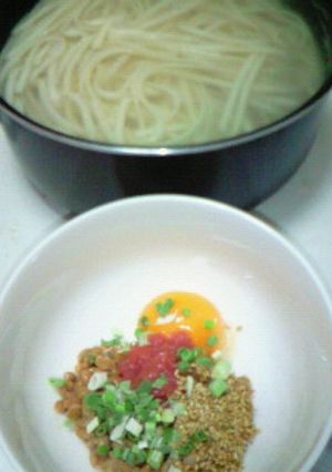 ねばねば梅玉ダレで食べるつけうどん-レシピのメイン写真