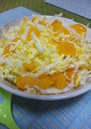 白菜とみかんのサラダ-レシピのメイン写真